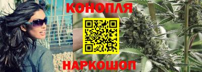 сатива Гай