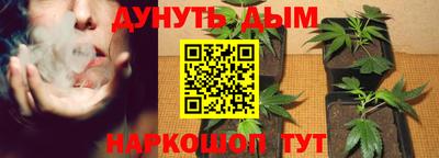 ПСИЛОЦИБИНОВЫЕ ГРИБЫ Гагарин