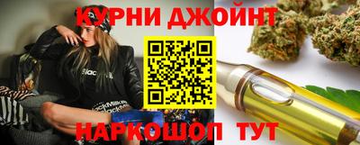 сатива Гай