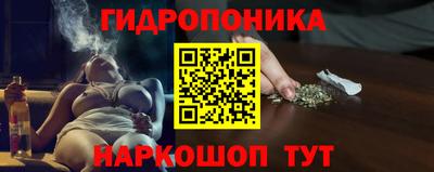 сатива Гай